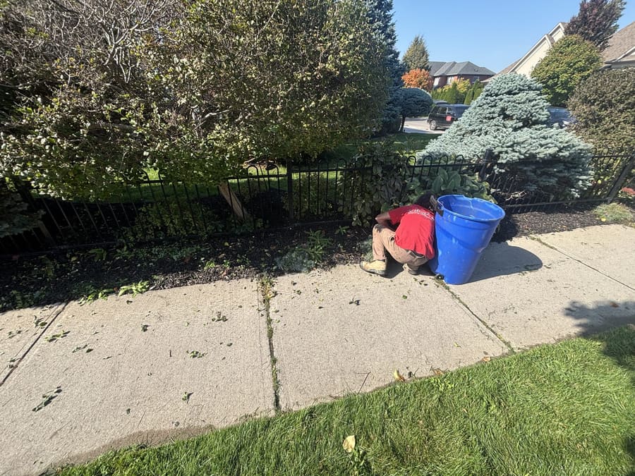 Crew member hand-weeding a garden bed