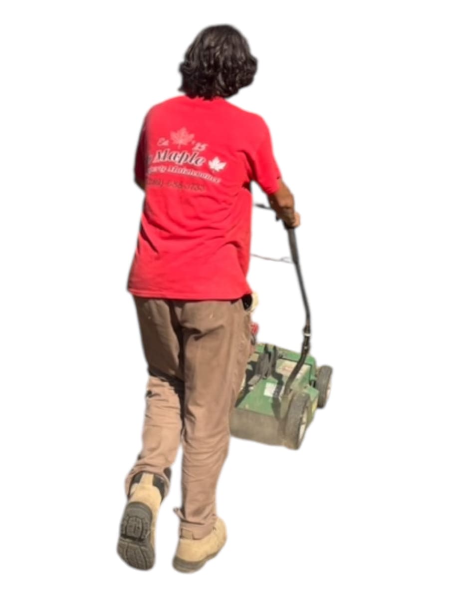 Maple Property Maintenance crew member with a dethatching rake