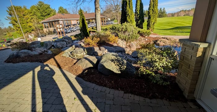 After: Roadside bed cleanup and fresh mulch