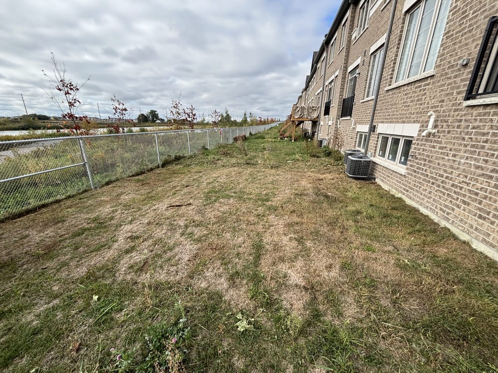 Overgrown lawn cut and cleaned up, Durham Region