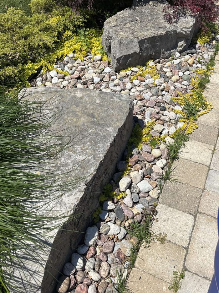 Before: River rock bed weeded and cleaned