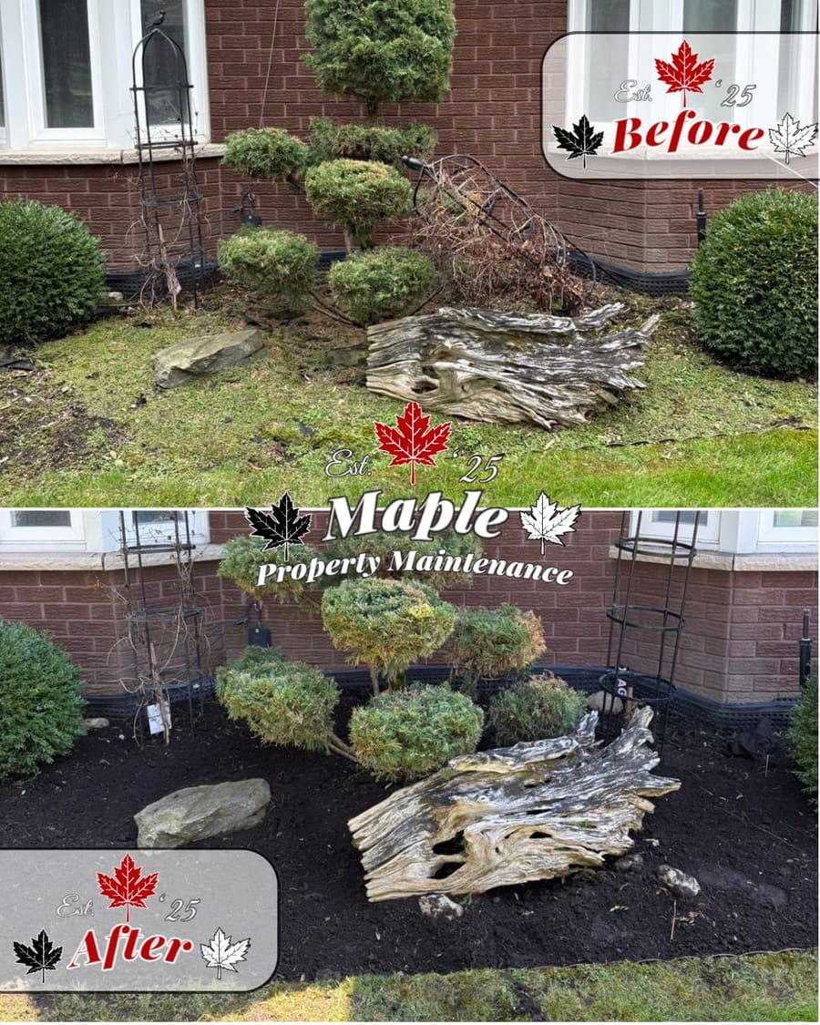 Front foundation bed cleanup and mulch