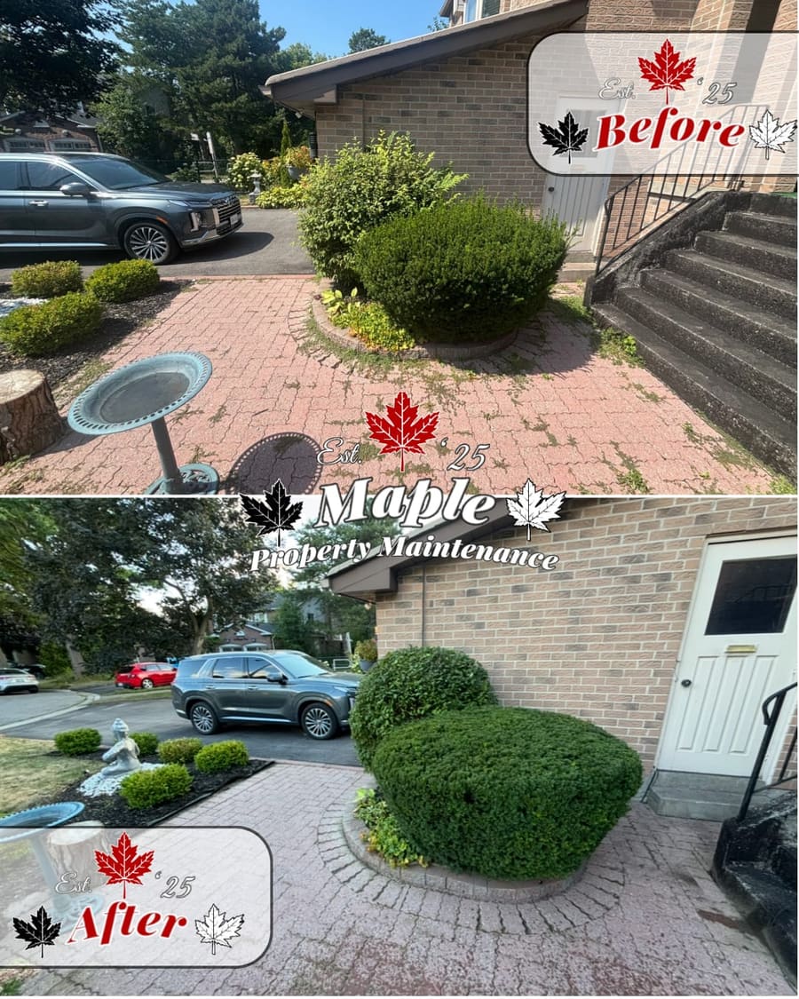 Paver walkway edging and hedge shaping