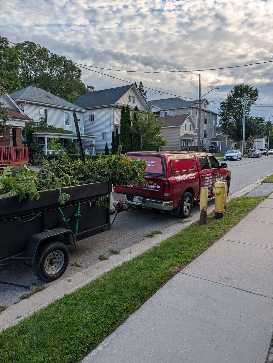 Maple Property Maintenance truck loaded with hedge trimmings, dusk