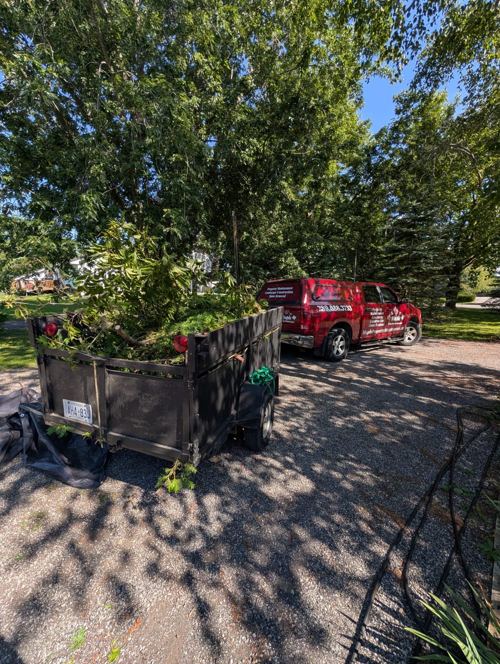 Maple Property Maintenance truck loaded with hedge trimmings
